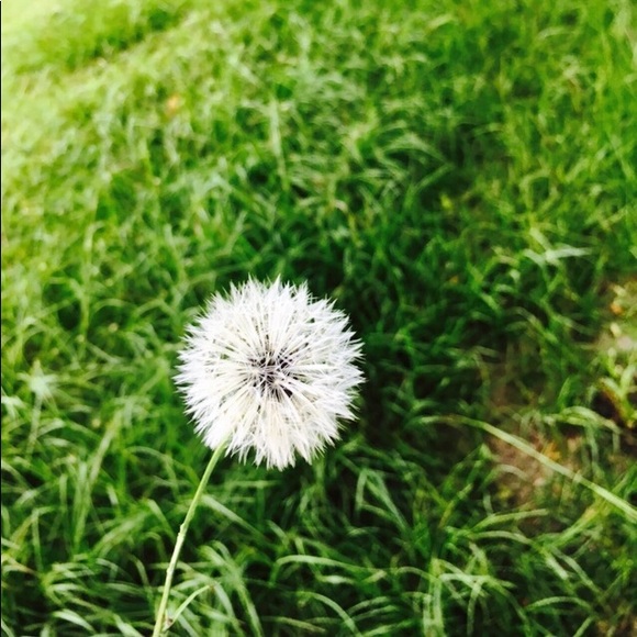 Meet your Posher, Madison - Picture 1 of 1